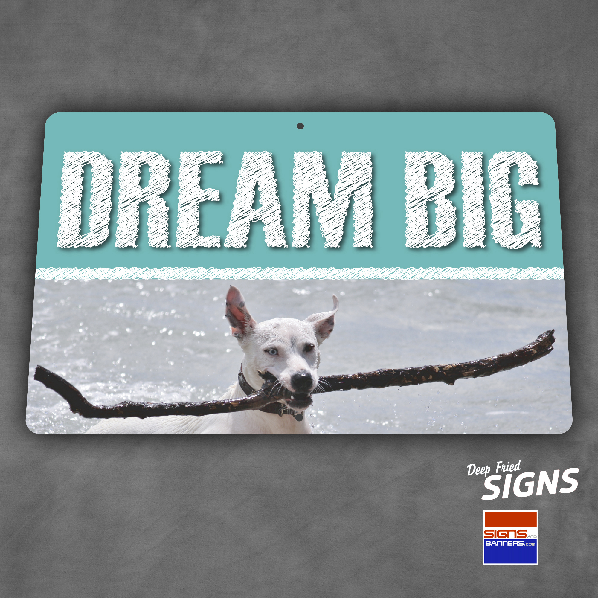 Dream Big
